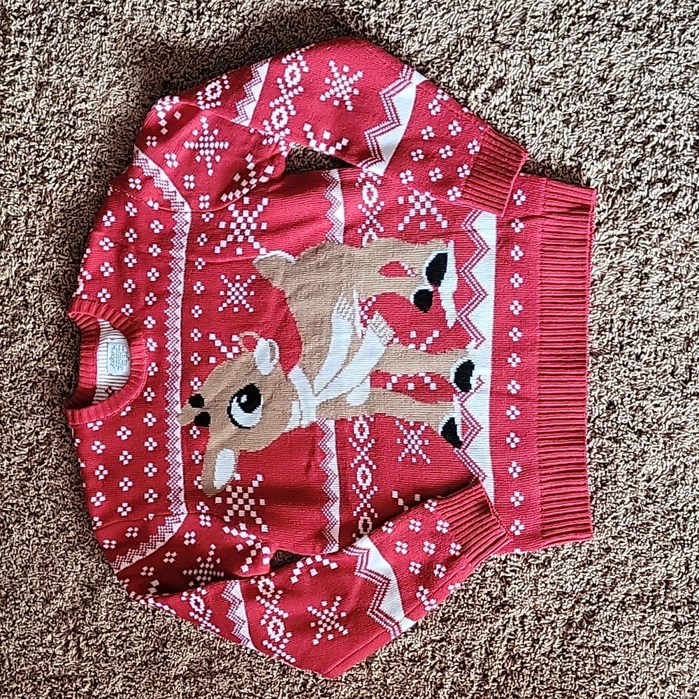Mens Holiday sweater